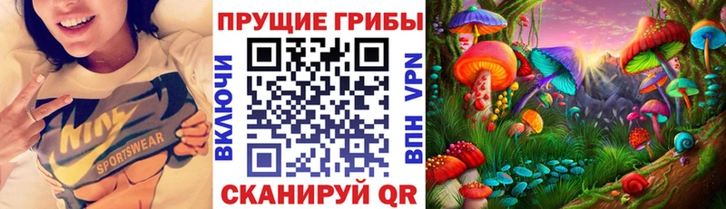 Псилоцибиновые грибы MAGIC MUSHROOMS  что такое   Сосновый Бор 