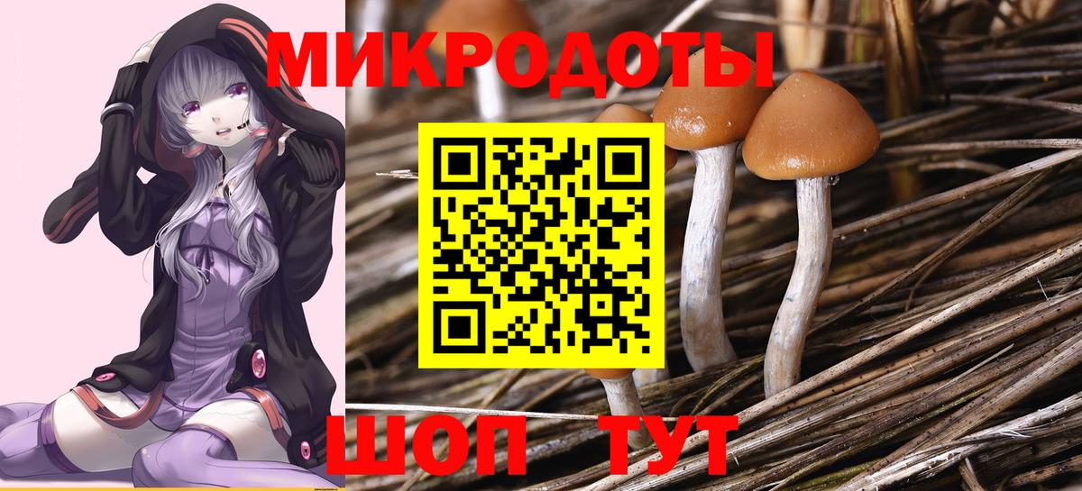 Галлюциногенные грибы Psilocybe  Вход с VPN  Сосновый Бор  Псилоцибиновые грибы мицелий 