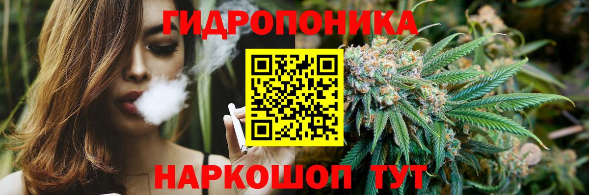 Конопля AK-47  Канабис планчик  Сосновый Бор  Вход с VPN 